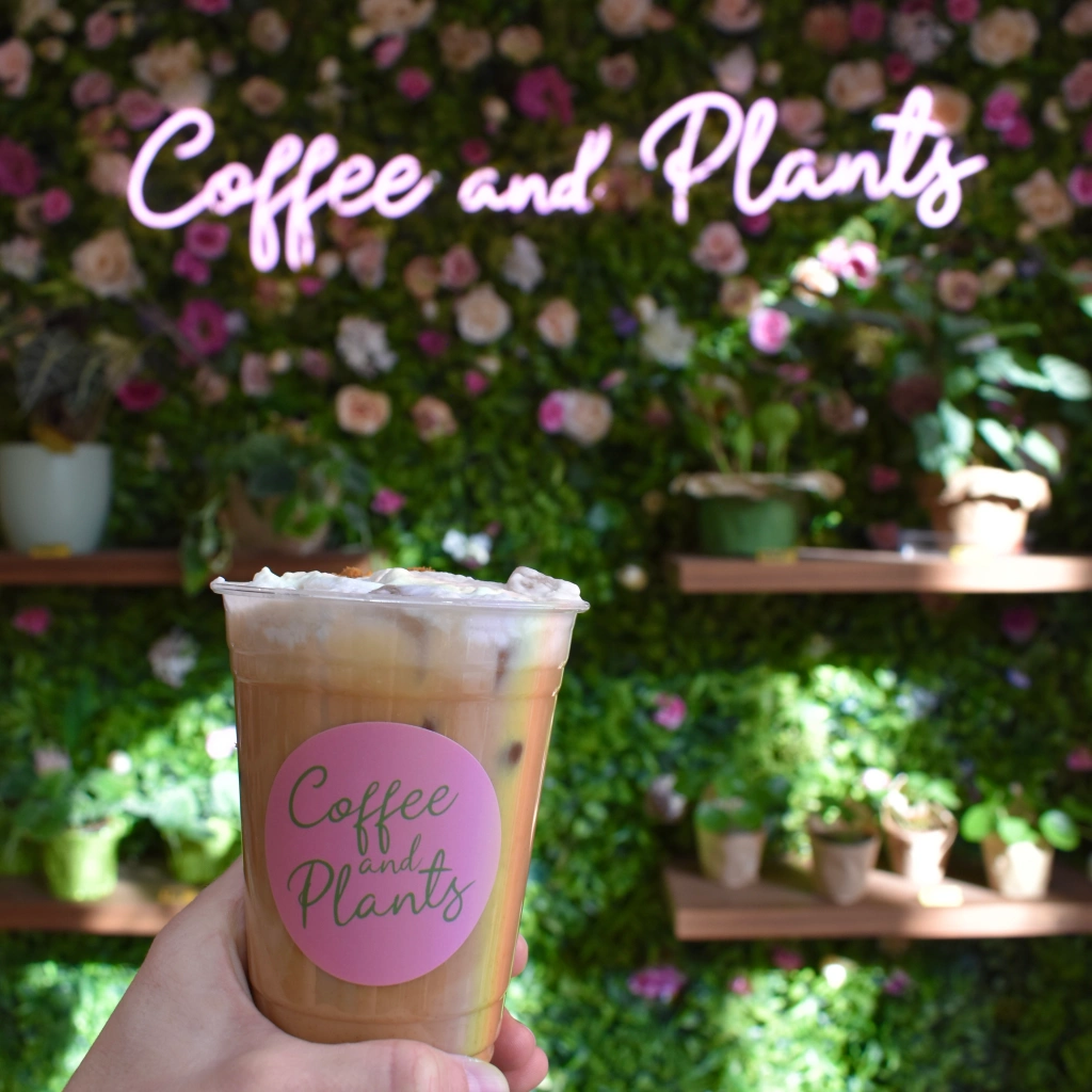 Male hand holding an iced coffee beverage that has a rainbow reflection on the right side of the cup. Hand is in front of a neon pink sign that reads Coffee and Plants on the green plant wall with shelves holding additional plants.